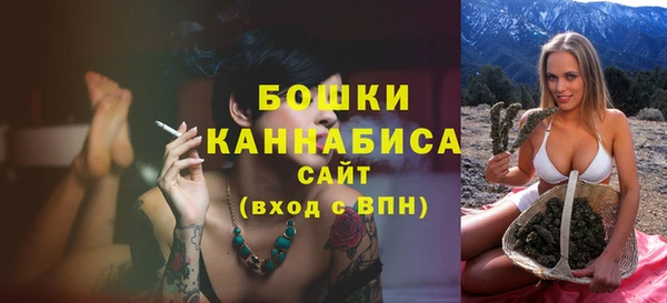 spice Бронницы