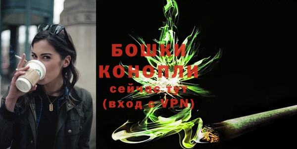 крисы Бугульма