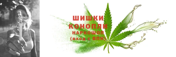 дживик Верея