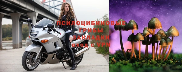 дживик Верея