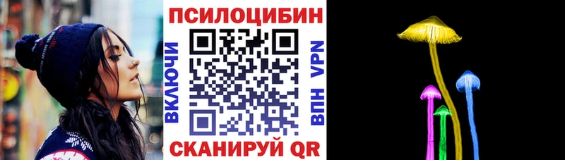 Псилоцибиновые грибы Cubensis  цены   mega зеркало  Навашино 